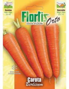 Flortis carota berlicum