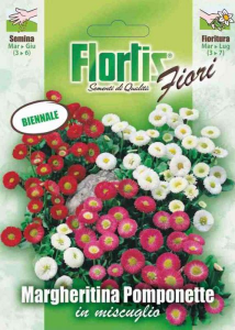Flortis margheritina pomponette mix