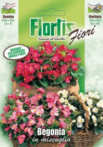 Flortis begonia mix