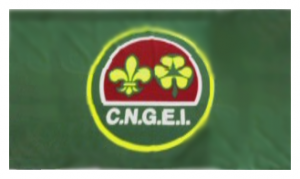Bandiera CNGEI 100 x 150