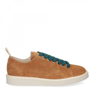 Panchic P01M Lace-up shoe suede biscuit petrol-2