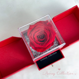 Box Trasparente 4 Rose stabilizzate Rosse con Cassetto