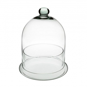 Contenitore in vetro con cupola in vetro trasparente