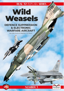 Wild Weasels Defence suppression & electronic warfare aircraft
