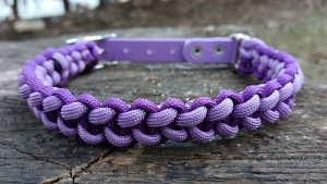 COLLARE PARACORD COBRA VIOLET