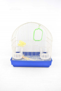 Cage Per Little Birds With At Bottom Blue 36x31x20 Cm