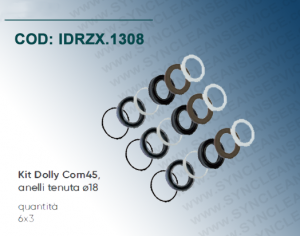 Kit Com45 ​​​​​​(cod: 5019.0673) IDROBASE valido per pompe RW 3040, RW 3540, RW 4040 COMET, composto da anelli tenuta ø18 
