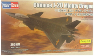 Chinese J-20