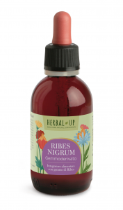 HERBAL - UP RIBES NIGRUM GEMMODERIVATO 50 ml