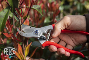 Felco Cesoie da Potatura Felco 4 - Bloomling Italia