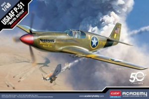 1/48 USAAF P-51 