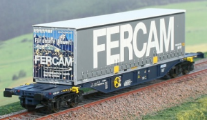 Carro Sgnss CEMAT cassa FERCAM - da 45 ft furgonata
