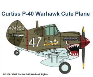 TIGER MODEL: Cute U.S P-40 Warhawk Fighter