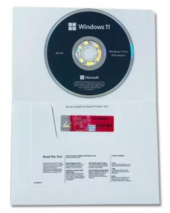 Windows 11 Pro ITA 1pk DSP OEI DVD