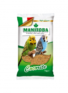 Manitoba cocorite 1kg