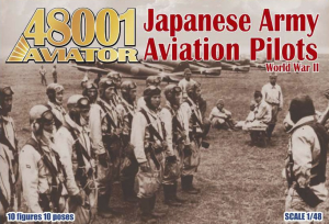 Imperial Japanese Army Aviation pilot