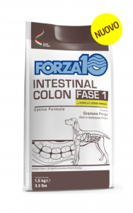 Intestinal Colon Fase 1 with lamb and white sorghum 
