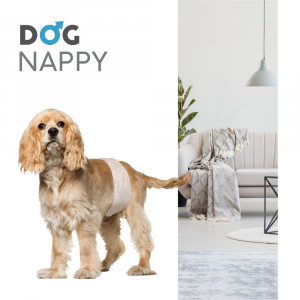 Fascia igienica per cani maschi – Dog Nappy croci