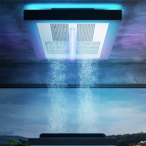 Aquamotus Aquaform Horizontal SPA Shower