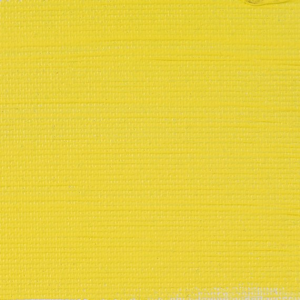 207 rembrandt acrylic 40 ml giallo cadmio limone