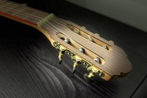 Guitare Modèle Hermana
