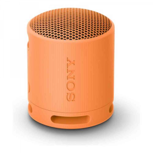 Sony - Cassa wireless - Compact