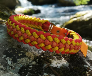 COLLARE PARACORD TWISTER SUMMER