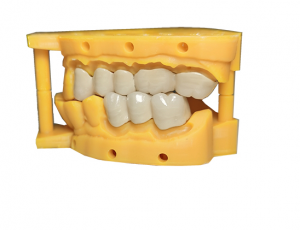 Focus 8.9 Dental 3D Printer - Flashforge