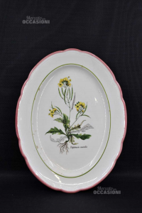 Plate Oval Serving The Primrose Made In Italy Diplotaxis Muralis 40x30 Cm