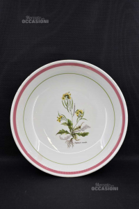 Plate At Bottom For Serving Made In Italy The Primrose Diplotaxis Muralis 34x8 Cm
