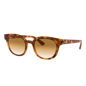 Sonnenbrille Ray-Ban RB4324 647551