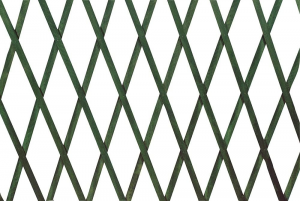 Traliccio legno verde estensibile 100x300 cm