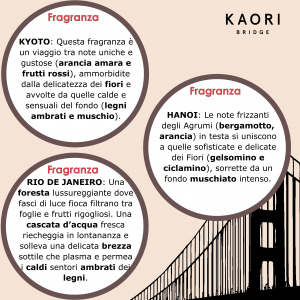 KIT Tower Bridge Profumatore Bucato Lavatrice KAORI BRIDGE 3 x 250 ml