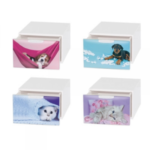 Q-BOX DECO MINI - Pets 15,5x21x10,5 cm