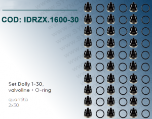 Il SET DOLLY 1-30 IDROBASE valido per pompe SERIE 47-48 Ø20 (Interpump) composto da valvoline + O-ring