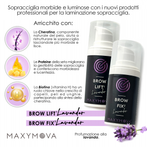 Kit Brow Lift MAXYMOVA - Laminazione sopracciglia-2