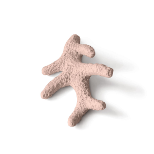 Lineasette scultura corallo 16x10x05 HI BD087.HI