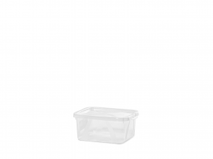 Rotho box Lona con coperchio in polipropilene cm 20x9x16,5