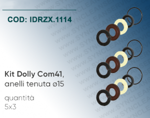 Kit Dolly H12 (Cod. 1.099-875.0 / 261206) IDROBASE (ZX.0642) valido per HC310L, HC310R, HC320R HAWK composto da anelli tenuta ø18