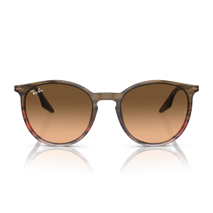 Sonnenbrille Ray-Ban RB2204 13953B