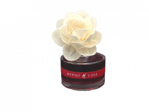 HYPNO diffusore profumo mosto autunno rosa carta 100ml