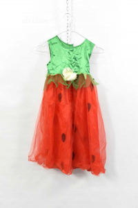 Dress Carnival Baby Girl Anguria 4 / 6 Years Red Green