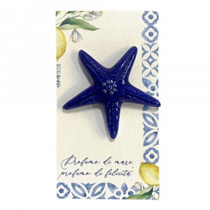 Quadretto con stella di mare blu 10.5x19.5 cm - Beccalli for Life