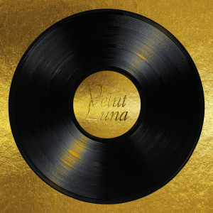 The Velut Luna's Reference Vinyl Vol. 2 GOLDEN BOX