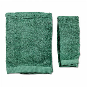 Coppia asciugamani 500 gr Melodie verde