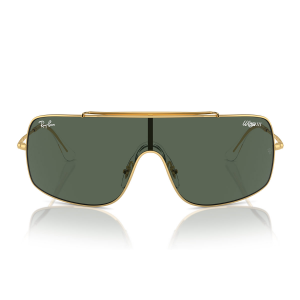 Sonnenbrille Ray-Ban Wings III RB3897 001/71